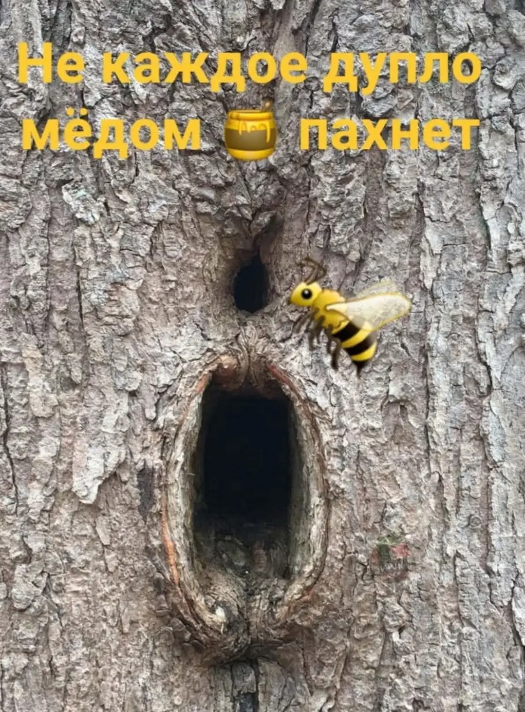 Прикрепление